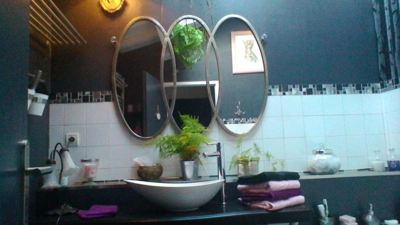 Le Domaine De La Lezardiere B&B Espiet Eksteriør billede